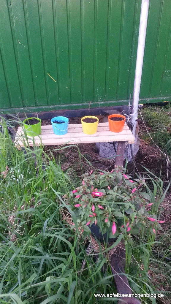 bunte Töpfe vor grüner Wand