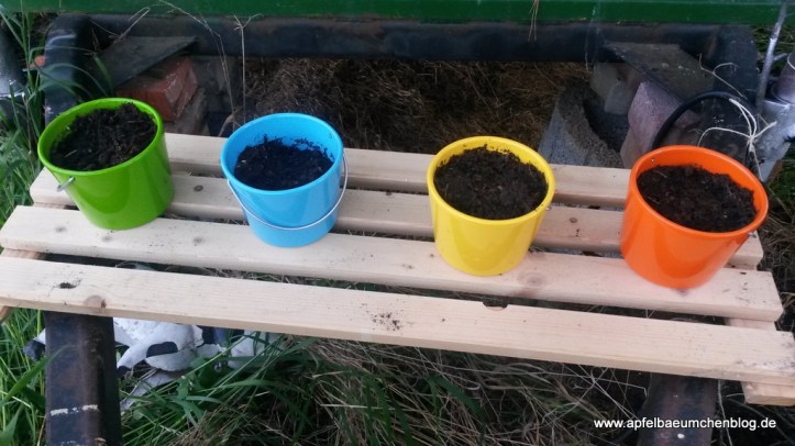 Blumentöpfe, Kräuter