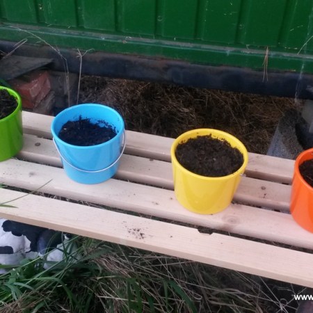 bunte Töpfe, Pflanzen