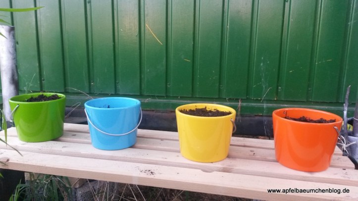 Blumentöpfe, Kräuter