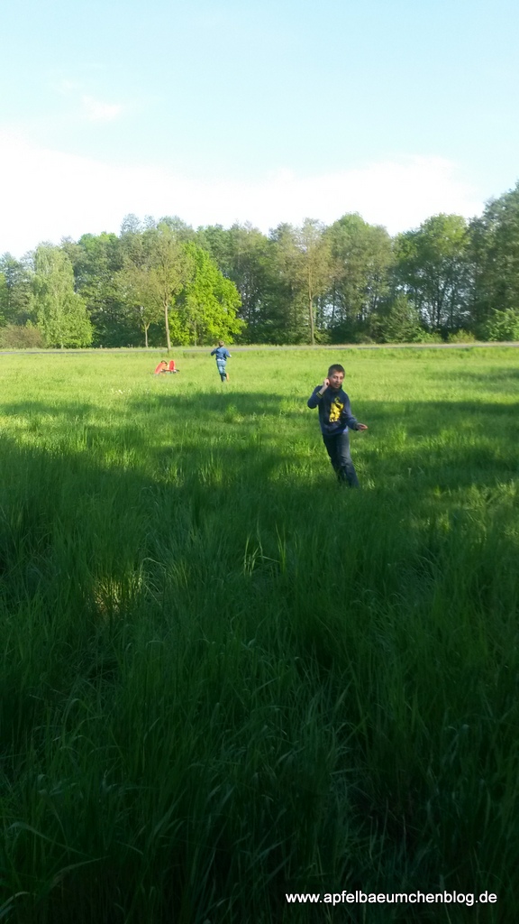 Kinder auf der Wiese