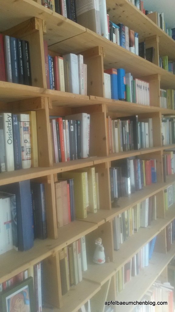 große Bücherwand