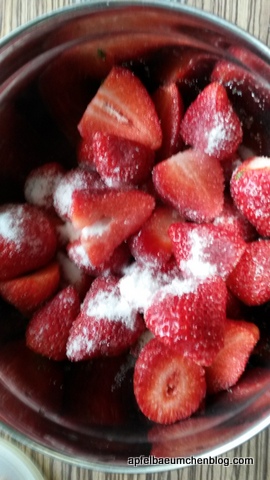 Erdbeeren mit Zucker