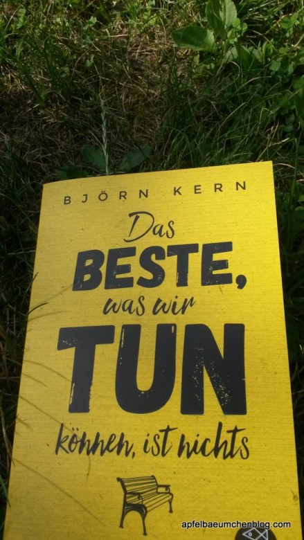 Buch entspannen Wiese